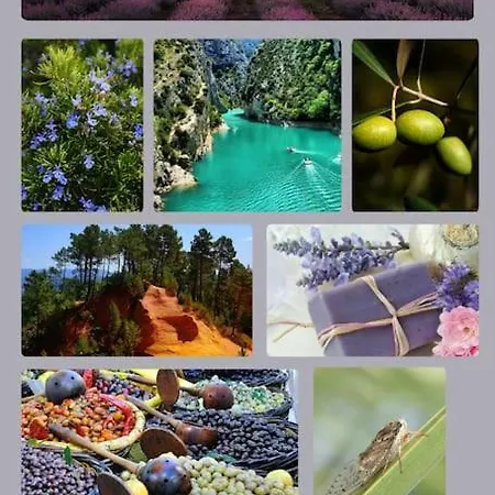 Apartmán Mistral - Acenseur - Centre-ville *