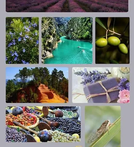 Apartment Mistral - Acenseur - Centre-ville *